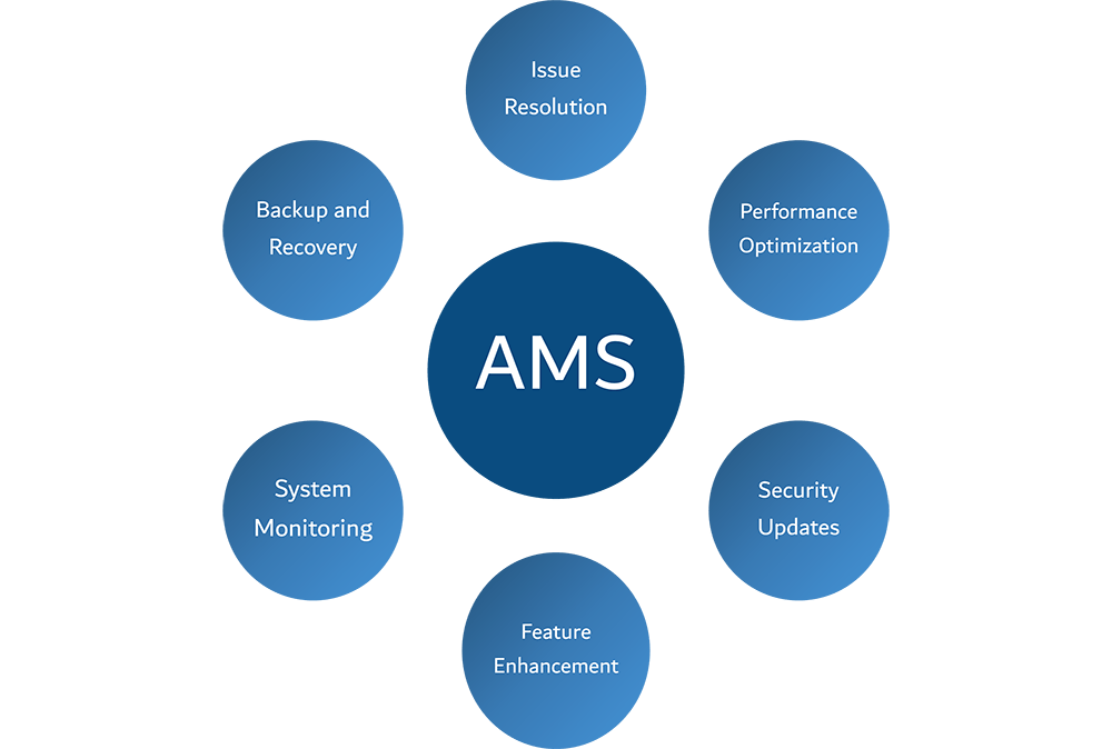 SAP AMS: Clear advantages of targeted support